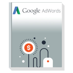 google adwords paketi